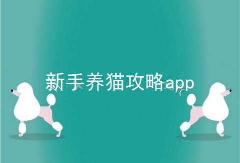 新手养猫攻略app