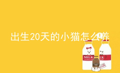 出生20天的小猫怎么养