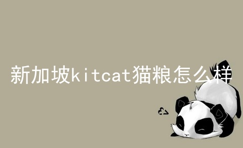 新加坡kitcat猫粮怎么样