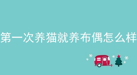 第一次养猫就养布偶怎么样