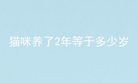 猫咪养了2年等于多少岁