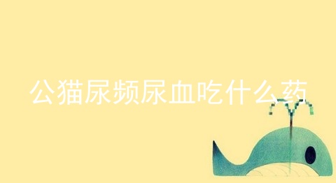 公猫尿频尿血吃什么药