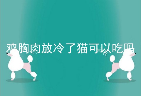 鸡胸肉放冷了猫可以吃吗