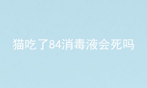 猫吃了84消毒液会死吗