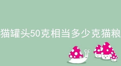 猫罐头50克相当多少克猫粮