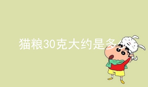 猫粮30克大约是多少