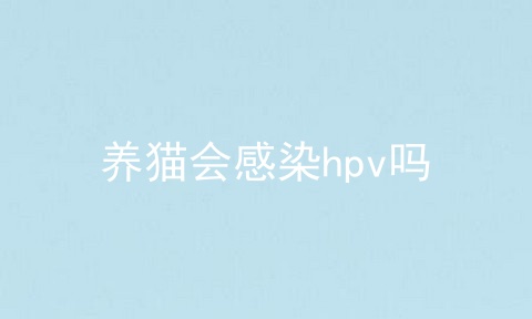 养猫会感染hpv吗