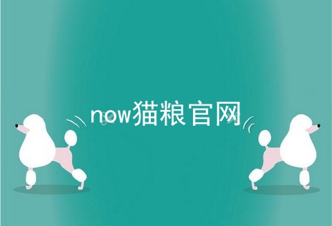 now猫粮官网