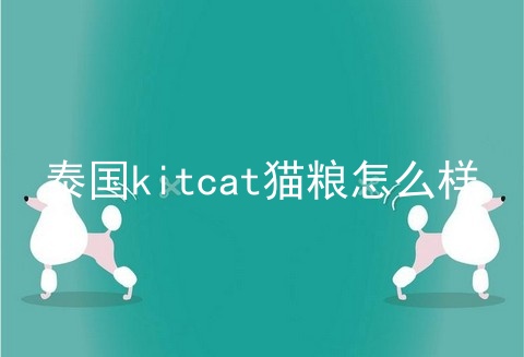 泰国kitcat猫粮怎么样