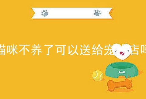 猫咪不养了可以送给宠物店吗