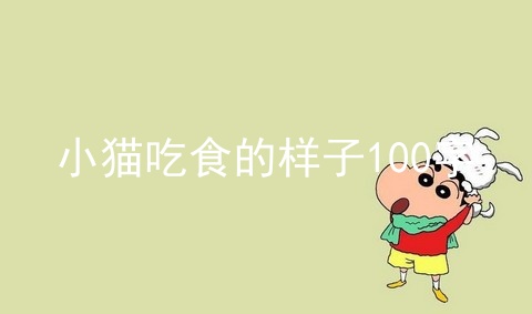 小猫吃食的样子100字