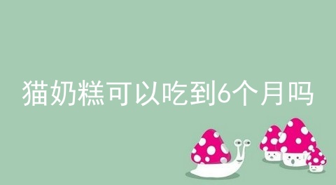 猫奶糕可以吃到6个月吗