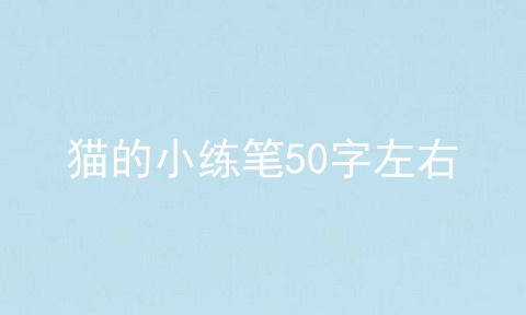 猫的小练笔50字左右