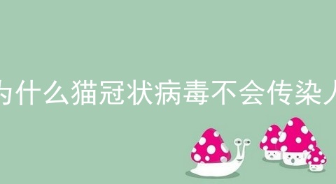 为什么猫冠状病毒不会传染人