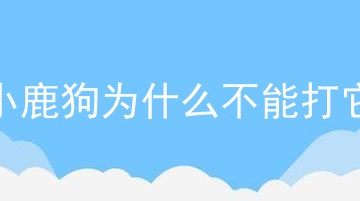 小鹿狗为什么不能打它