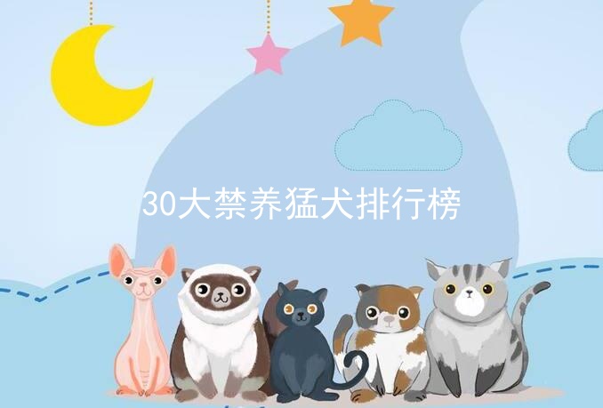 30大禁养猛犬排行榜