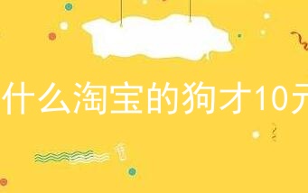 为什么淘宝的狗才10元?