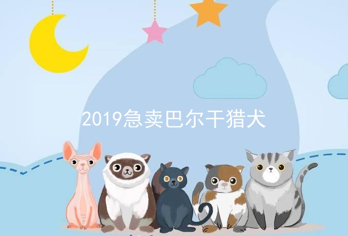 2019急卖巴尔干猎犬