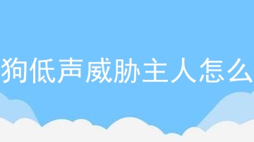 狗狗低声威胁主人怎么办