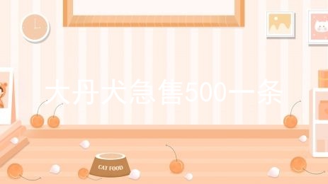 大丹犬急售500一条