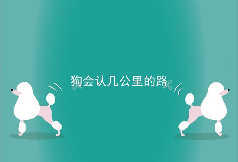 狗会认几公里的路