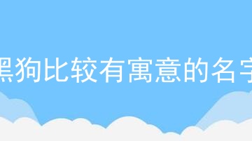 黑狗比较有寓意的名字