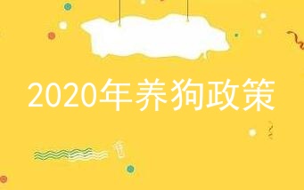 2020年养狗政策