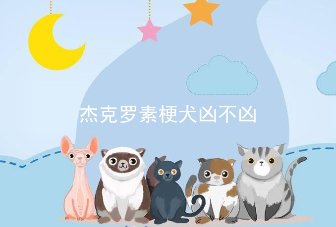 杰克罗素梗犬凶不凶