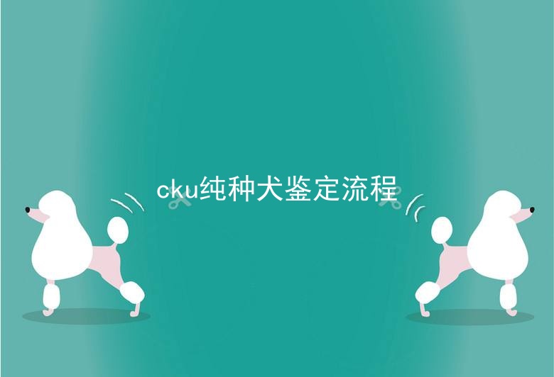 cku纯种犬鉴定流程