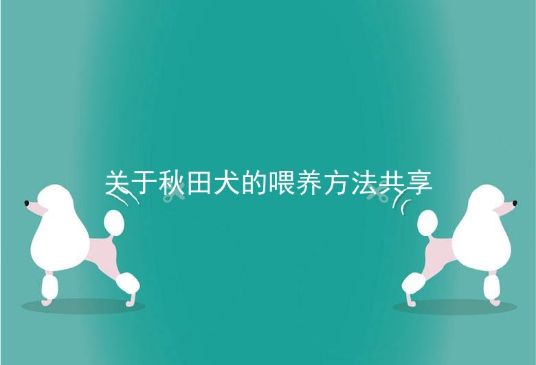 关于秋田犬的喂养方法共享