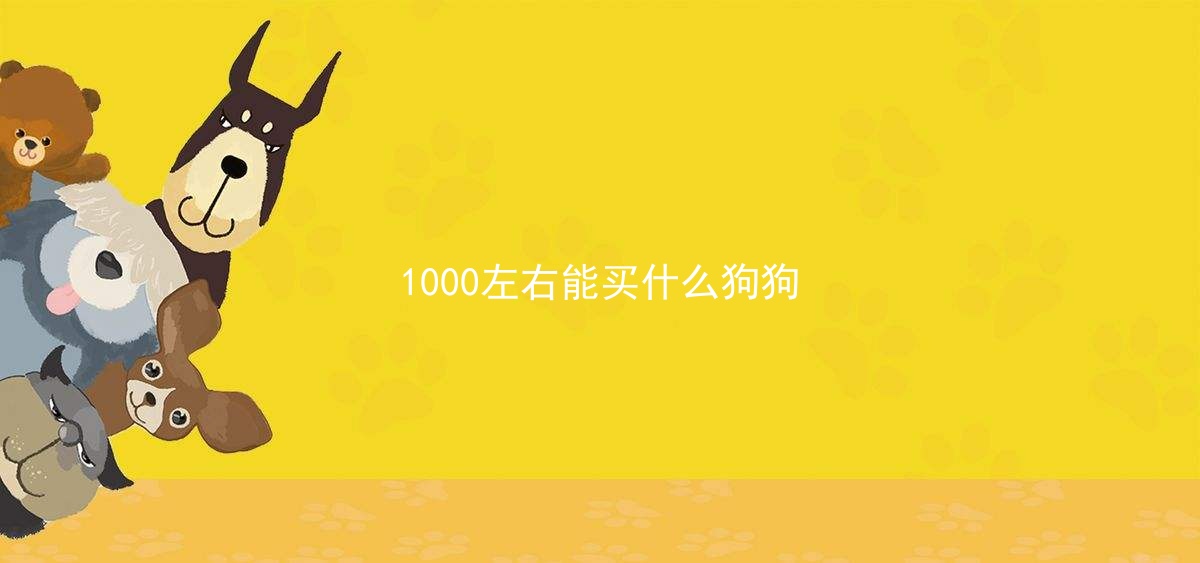 1000左右能买什么狗狗