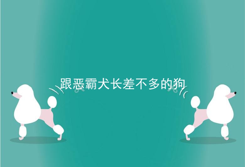 跟恶霸犬长差不多的狗