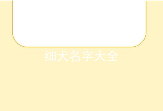 细犬名字大全