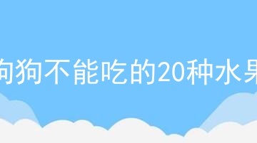 狗狗不能吃的20种水果