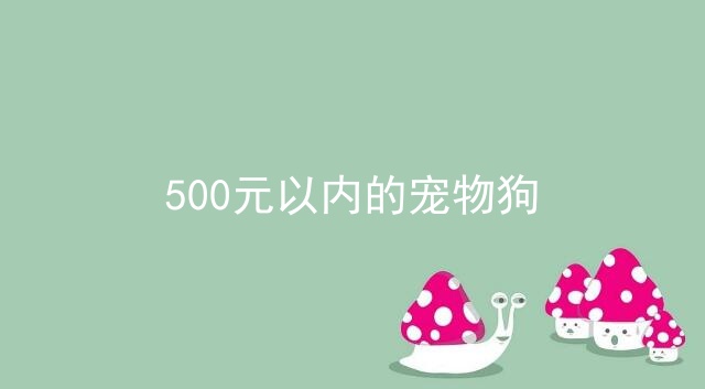 500元以内的宠物狗