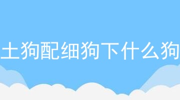 土狗配细狗下什么狗