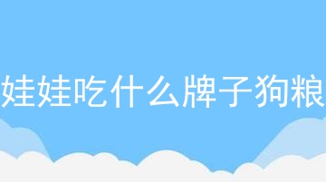 吉娃娃吃什么牌子狗粮好