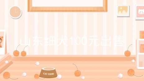 山东细犬100元出售