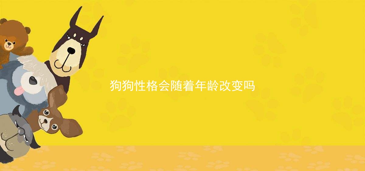 狗狗性格会随着年龄改变吗