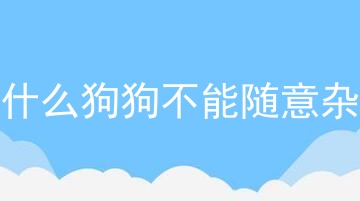 为什么狗狗不能随意杂交