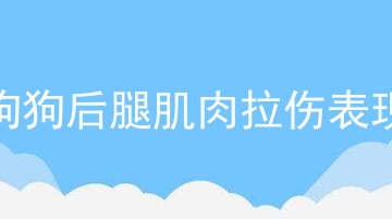 狗狗后腿肌肉拉伤表现