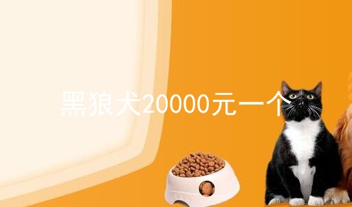 黑狼犬20000元一个