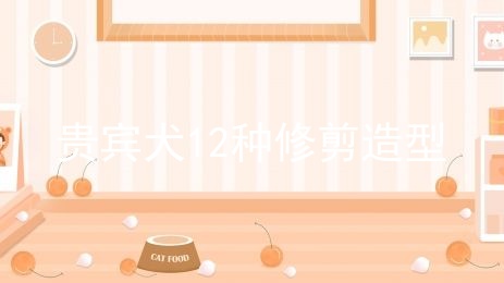 贵宾犬12种修剪造型