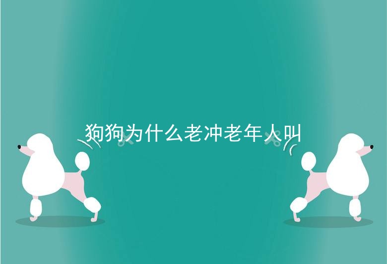 狗狗为什么老冲老年人叫