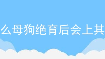 为什么母狗绝育后会上其他狗