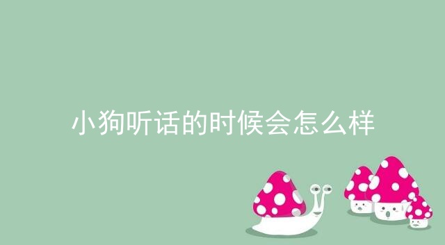 小狗听话的时候会怎么样