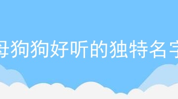 母狗狗好听的独特名字