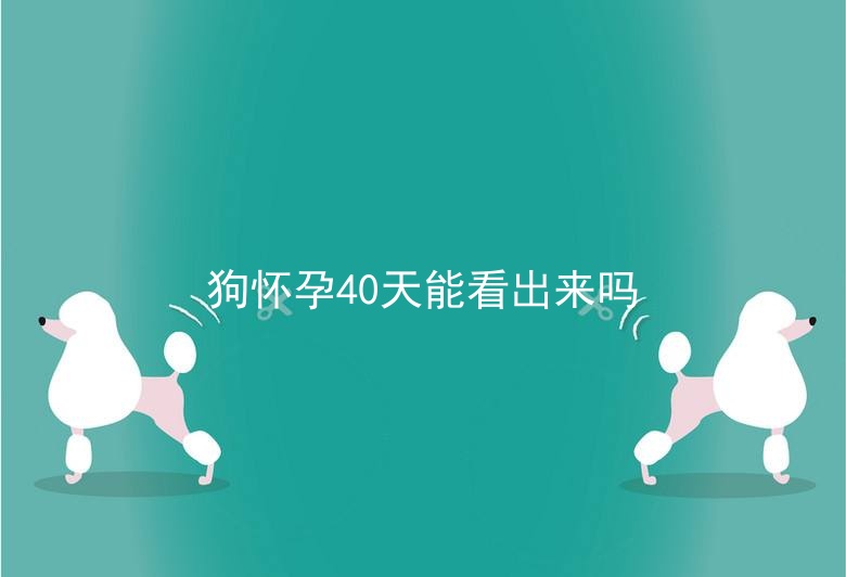 狗怀孕40天能看出来吗