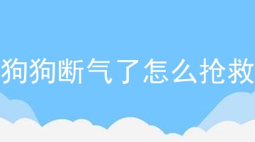 狗狗断气了怎么抢救