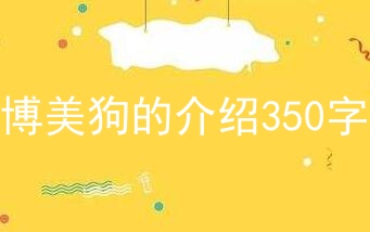 博美狗的介绍350字